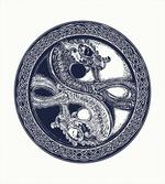 Mystic Yin Yang