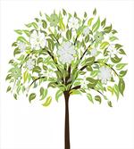 Summer Tree Blossoms