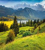Summer Morning Lake