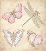 Retro Butterflies Bugs