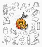 Live Healthy Theme
