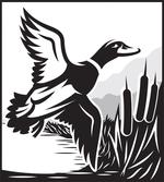 Monochromatic Graphics