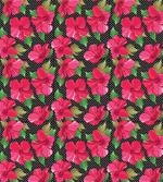 Polka Dots Hibiscus