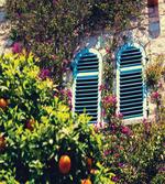 Old European House Mandarin
