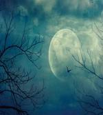 Haunted Forest