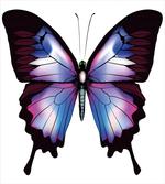 Vivid Insect
