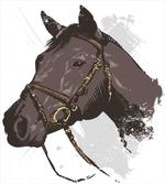 Wild Horse Portrait artwork