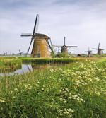Spring in the Country