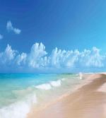 Tropical Ocean Waves