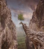 Mystic Mountains Tree