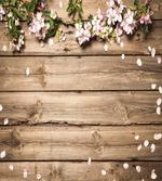 Petals Nature