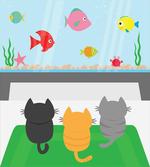 Cats Looking at Fishtank