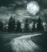 Moonrise Scenery