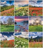 Summer Landscapes Rural