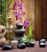 Warm Stones and Flowers