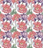 Gerbera Calla Motif