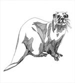 Sketch Otter