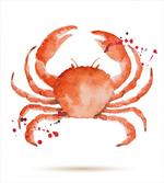 Sea Animals Theme Crabs