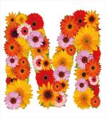 Flower Alphabet Daisy