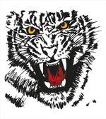 Angry Feline Vivid Eyes