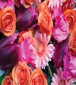 Gerberas Tulips Roses