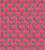 Abstract Peony Flowers