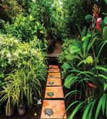 Tropical Growth