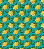 Hand Drawn Style Lemons