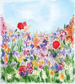Summer Blooms