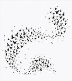 Flock of Flying Birds