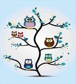 Night Animal Owl Love