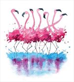Flamingo and Bird