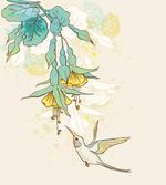 Colibri Exotic Plant
