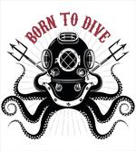 Octopus and Diver