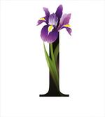 Iris Flowers Capital I