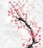 Sakura Artwork