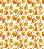 Juicy Orange Fruits Art