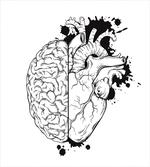 Human Heart and Brain Art