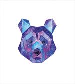 Cosmic Polygonal Portrait
