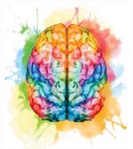 Colorful Human Brain