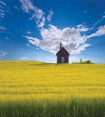Scandinavian House