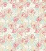 Orchid in Soft Colors