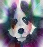 Psychedelic Panda