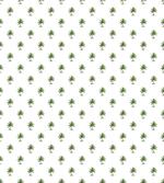 Hawaiian Island Forest