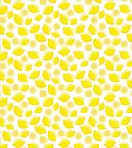 Delicious Citrus Fruits Art