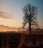 Countryside Autumn Dusk