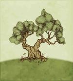 Spring Season Hills Olive