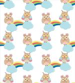 Clouds Rainbows Birds Fly
