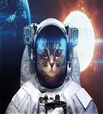 Kitty in Galaxy Dust