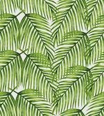 Exotic Setting Branches